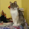 Отзыв от Нина Федотова